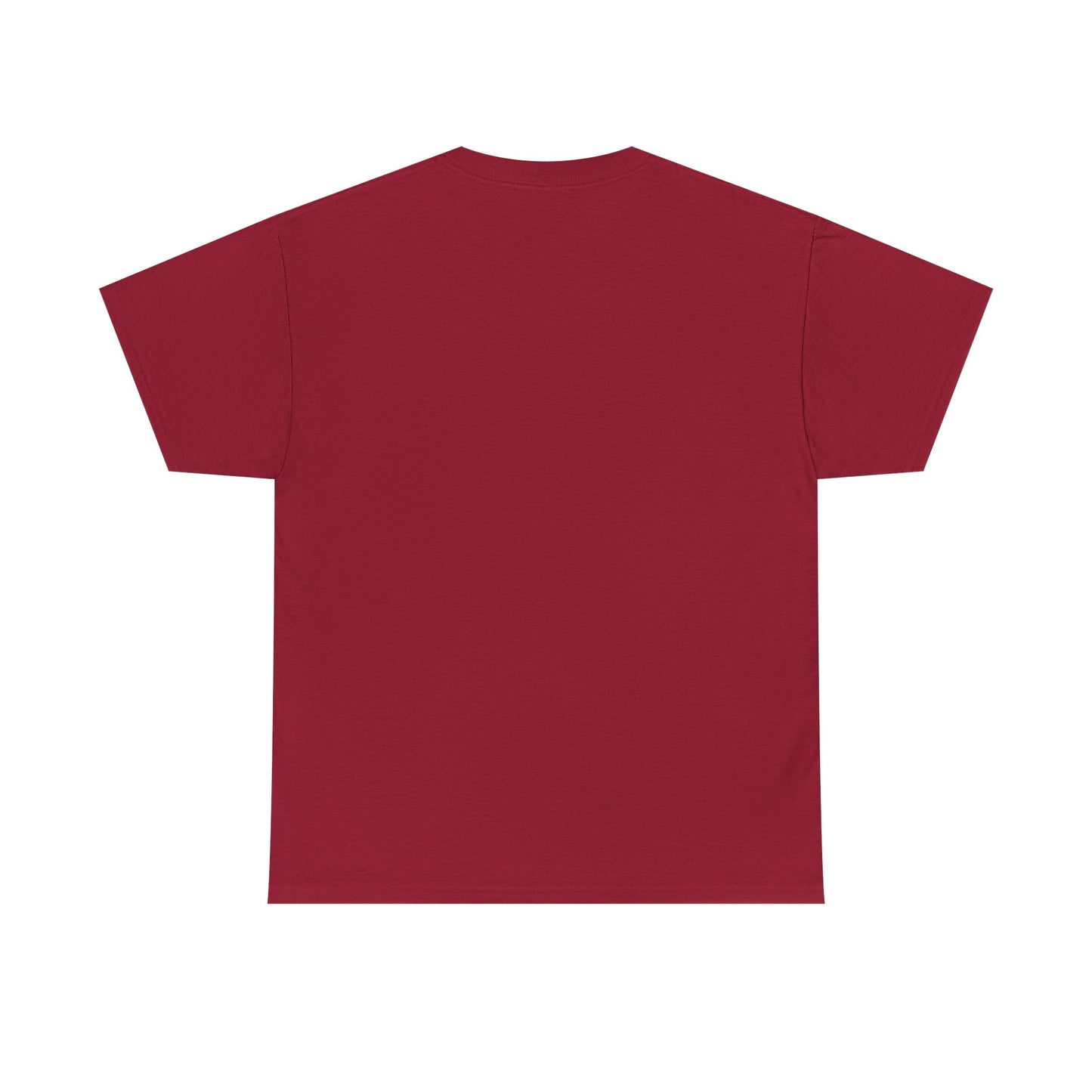 Diagnosed with Shah Tism T-Shirt